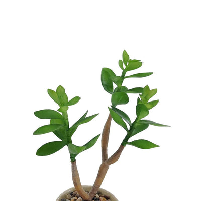 Fausse Plante Succulente Deco - 28 cm