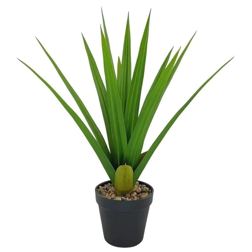 Faux Agave en Pot - 50 cm