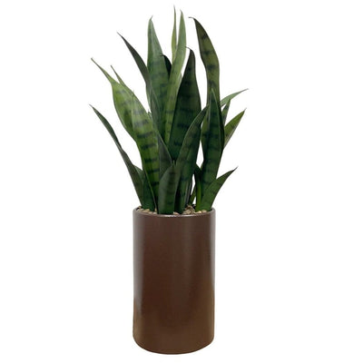 Faux Agave Haut de Gamme - 57 cm