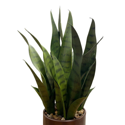 Faux Agave Réaliste en Pot - 74 cm