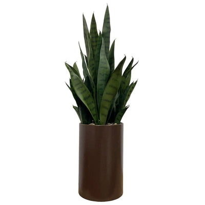 Faux Agave Réaliste en Pot - 74 cm