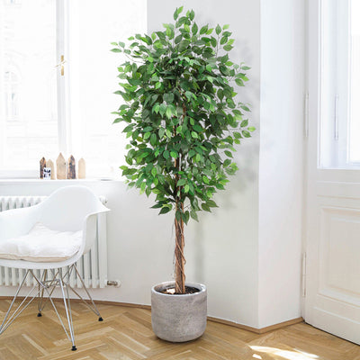 Ficus Artificiel 180 cm avec Pot