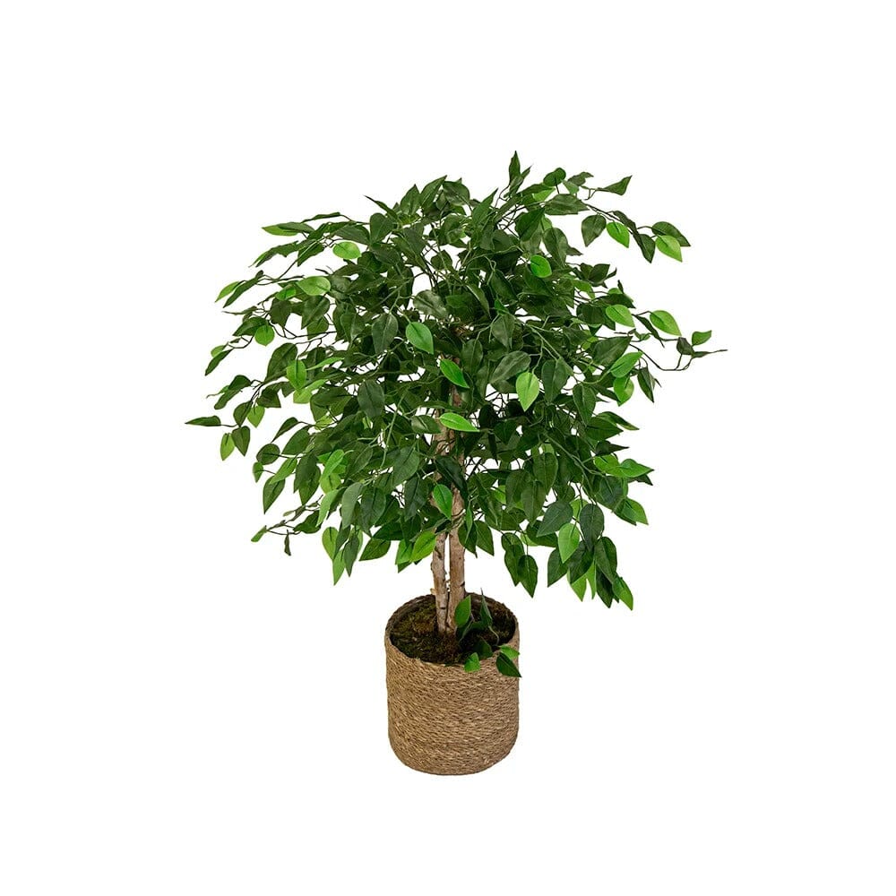 Ficus Artificiel en Pot - 100 cm / 180 cm