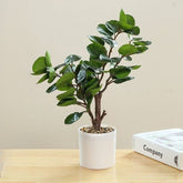 Ficus Artificiel en Pot pour Intérieur - 49cm