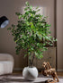 Ficus Artificiel Haut de Gamme - 150 cm