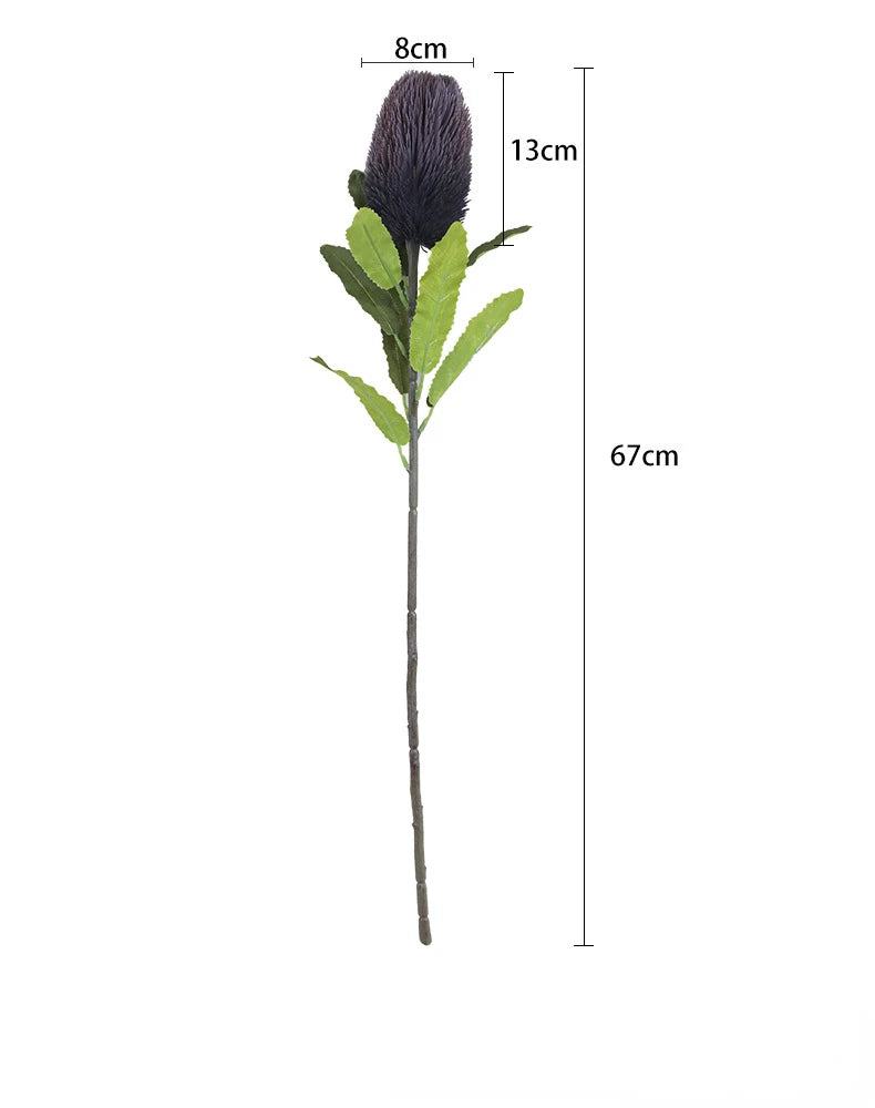 Fleur de Banksia Artificielle - 67 cm