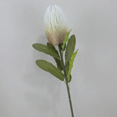 Fleur de Banksia Artificielle - 67 cm