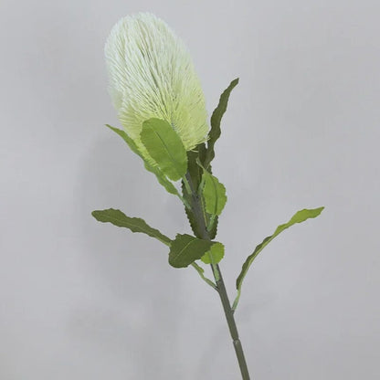 Fleur de Banksia Artificielle - 67 cm