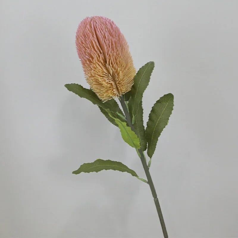 Fleur de Banksia Artificielle - 67 cm