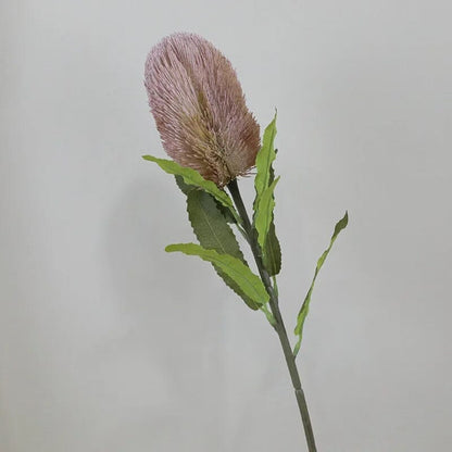 Fleur de Banksia Artificielle - 67 cm