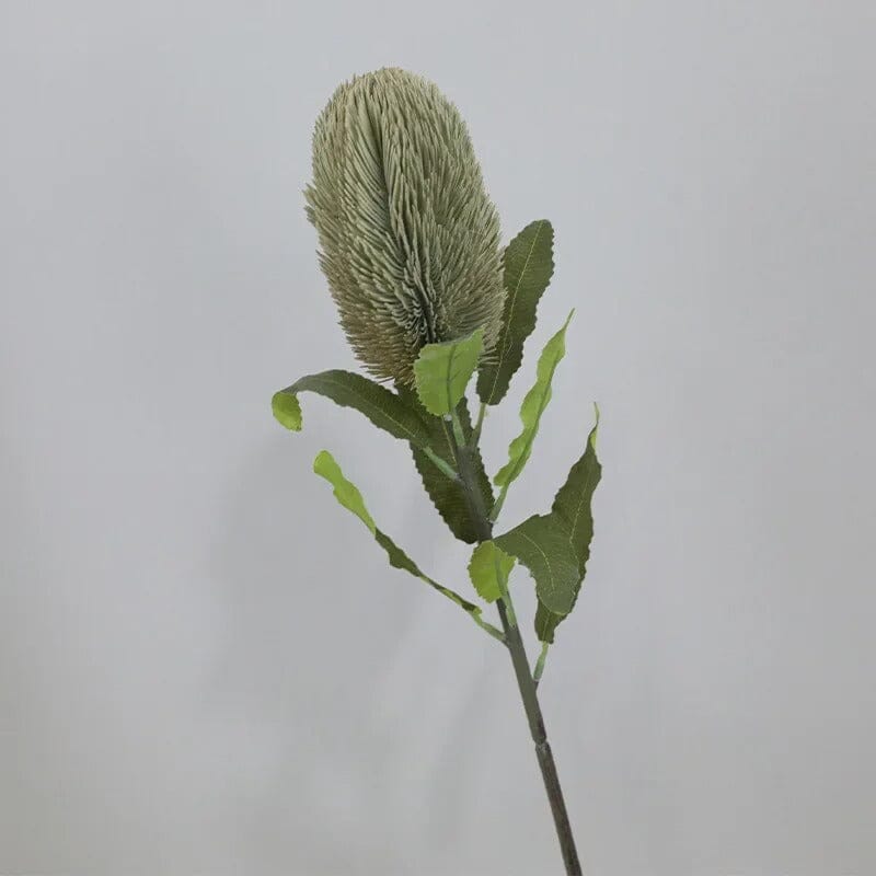 Fleur de Banksia Artificielle - 67 cm