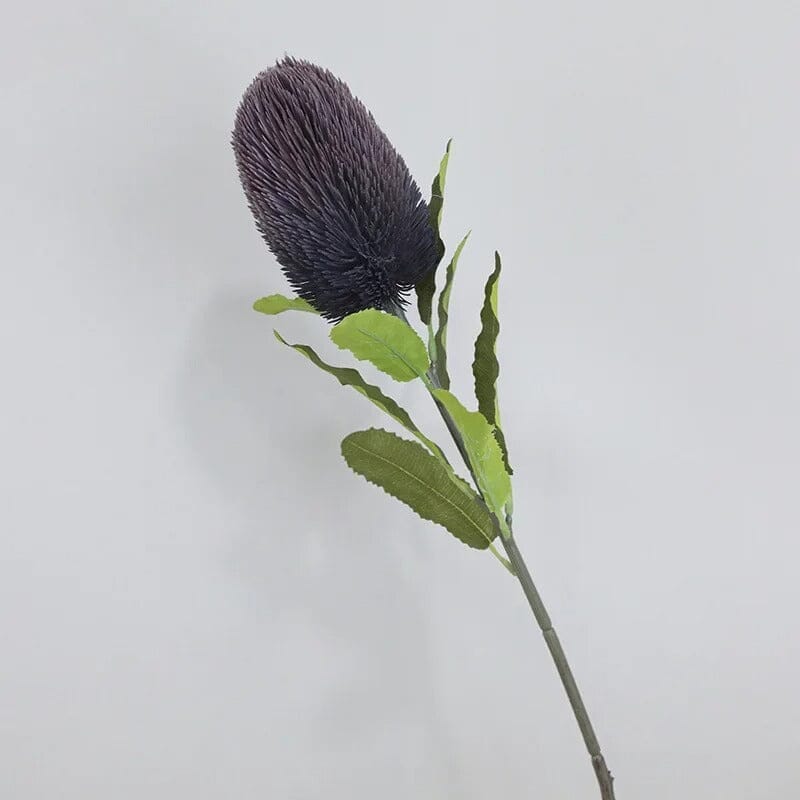 Fleur de Banksia Artificielle - 67 cm