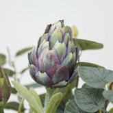 Fleur Protea Artificielle - 56 cm