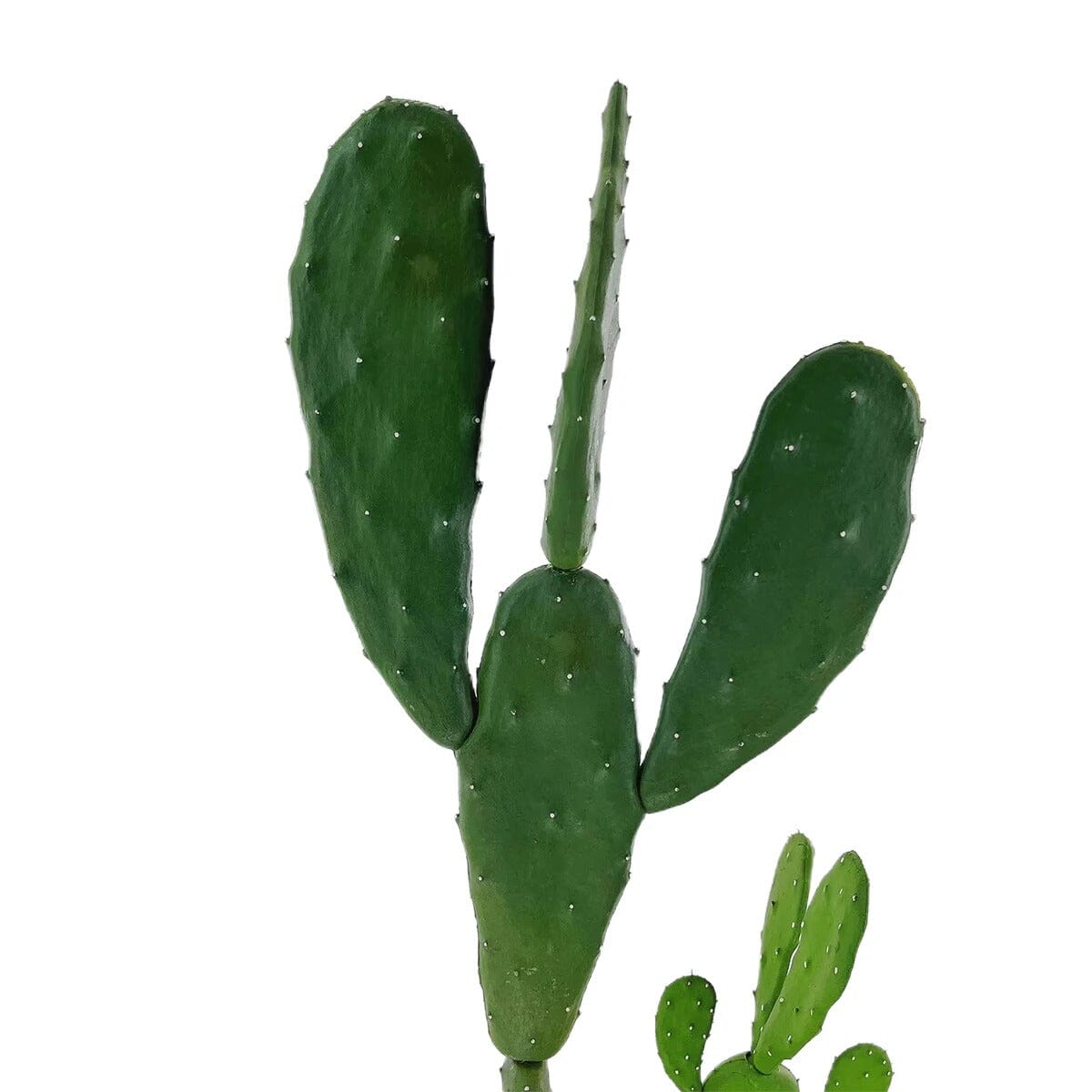 Grand Cactus Artificiel - 75 cm