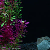 Grande Plante Aquarium Artificielle Verte et Violette