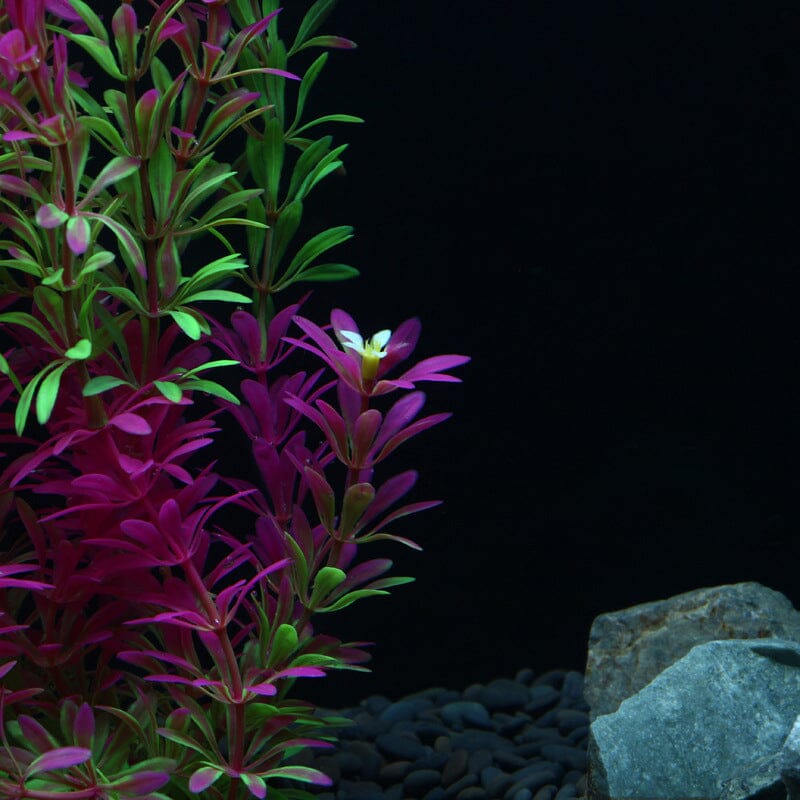 Grande Plante Aquarium Artificielle Verte et Violette