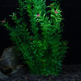 Grande Plante Artificielle Aquarium avec Fleurs