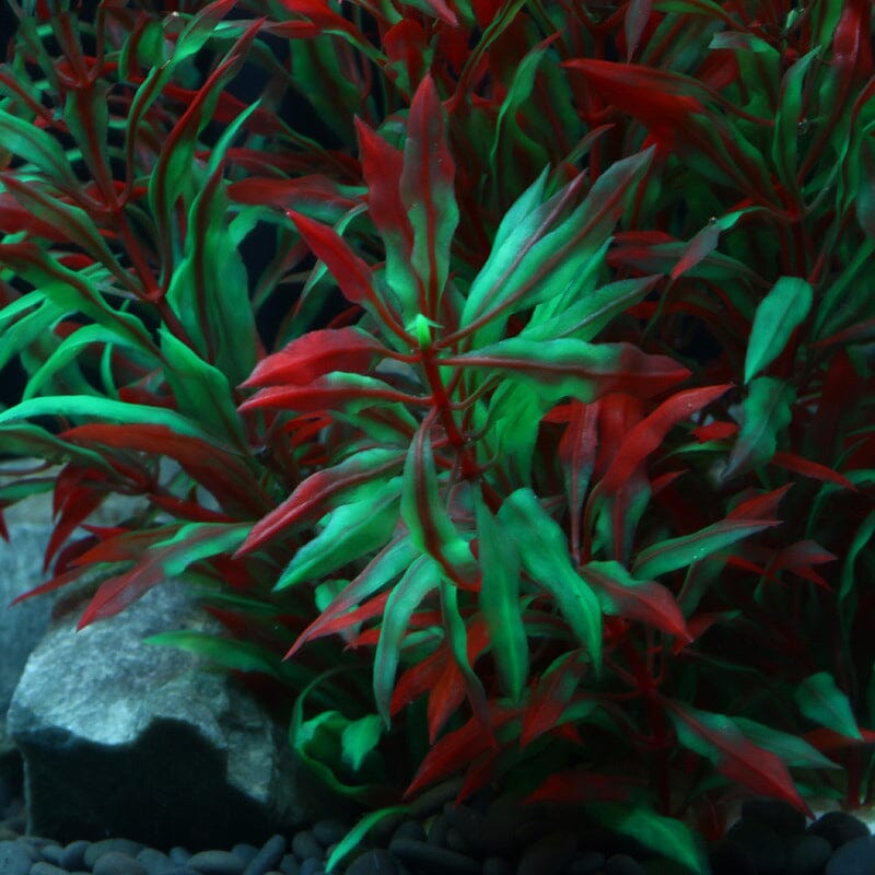 Grande Plante Verte et Rouge Artificielle Aquarium