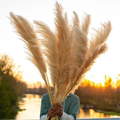 Grandes Fleurs Séchées Pampas – Bouquet - 85 cm