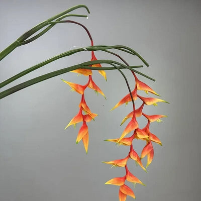 Heliconia Bec de Perroquet Haut de Gamme - 94 cm