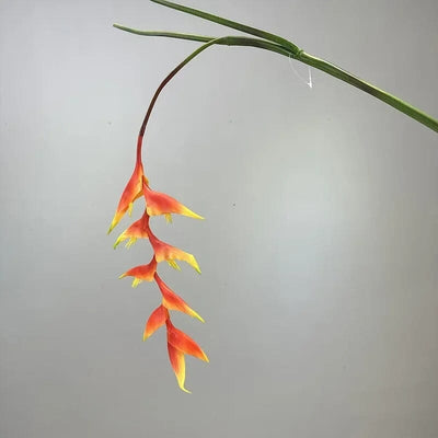 Heliconia Bec de Perroquet Haut de Gamme - 94 cm