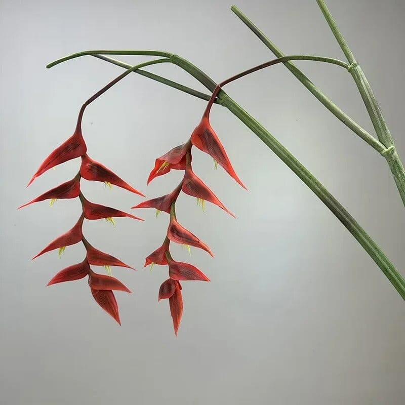 Heliconia Bec de Perroquet Haut de Gamme - 94 cm