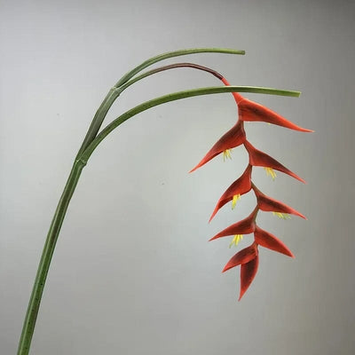 Heliconia Bec de Perroquet Haut de Gamme - 94 cm