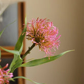 Leucospermum Artificiel - 50 cm