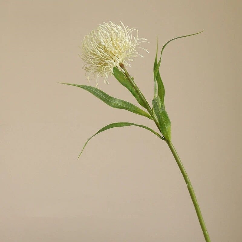 Leucospermum Artificiel - 50 cm