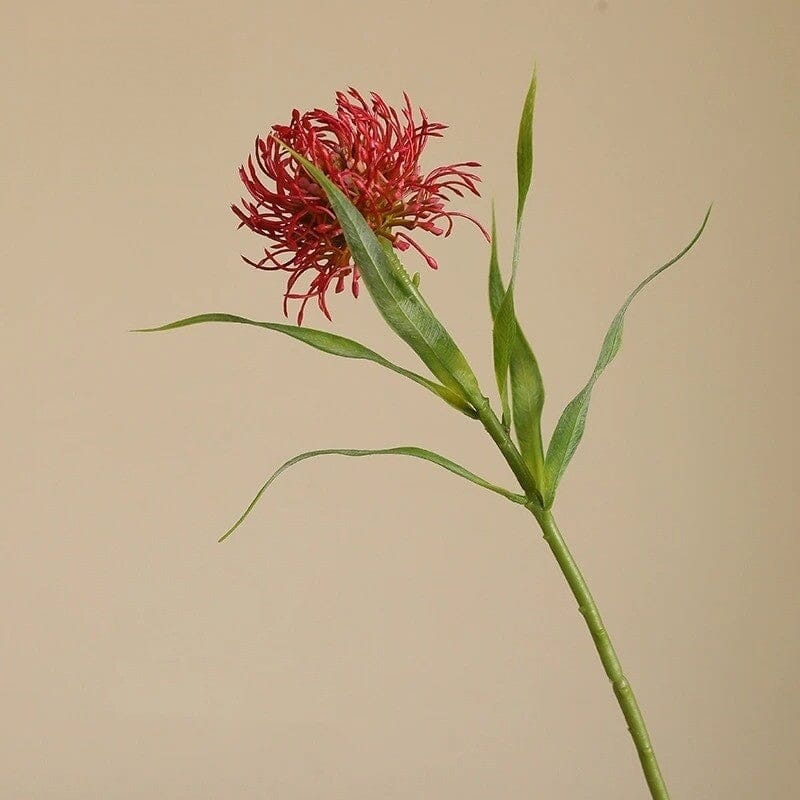 Leucospermum Artificiel - 50 cm