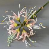 Lycoris Artificiel (Lys Araignée) - 60 cm