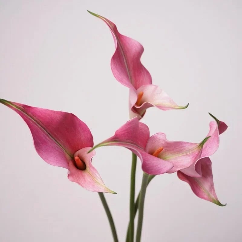 Lys Calla Artificiel (Arum) - Bouquet de 5 Tiges - 58 cm