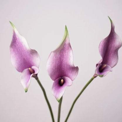 Lys Calla Artificiel (Arum) - Bouquet de 5 Tiges - 58 cm