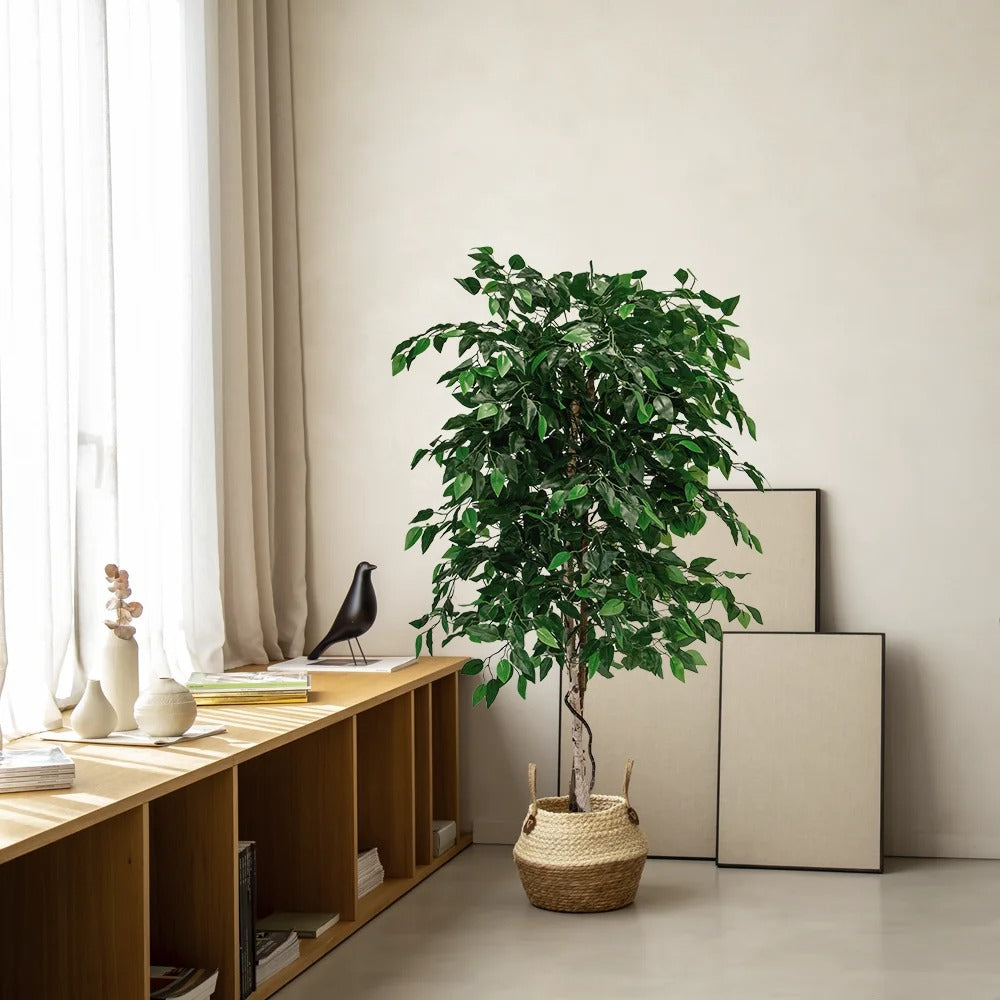 Ficus Artificiel en Pot