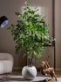 Ficus Artificiel Haut de Gamme - 150 cm