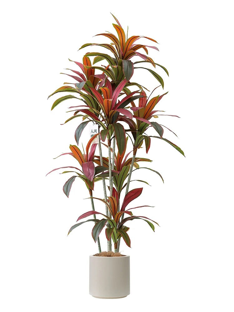 Plante Artificielle Dracaena Colorée - Haut de Gamme