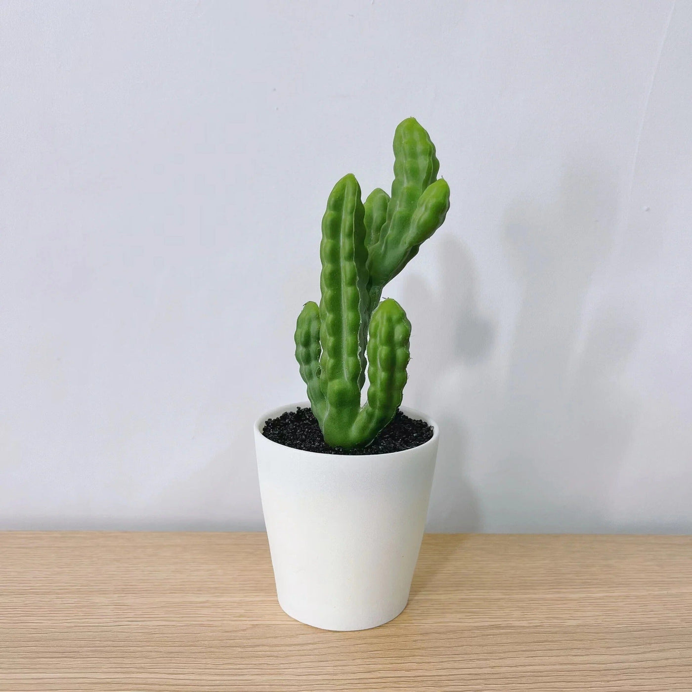 Mini Cactus Artificiel Deco