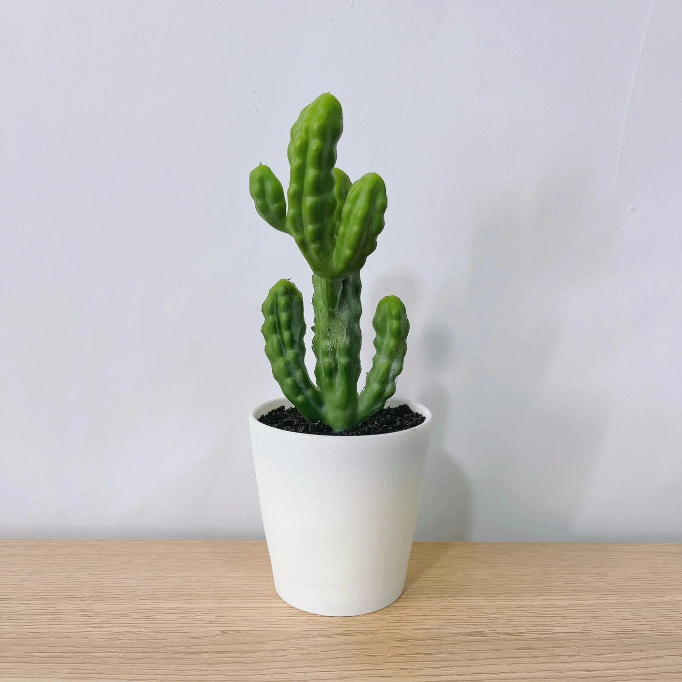 Mini Cactus Artificiel Deco