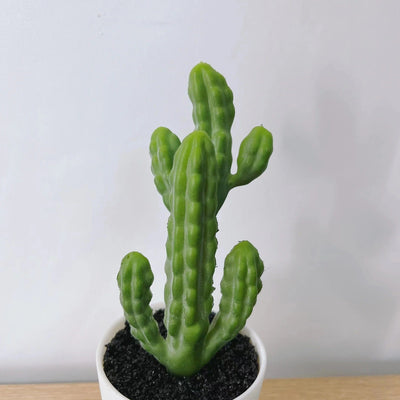 Mini Cactus Artificiel Deco