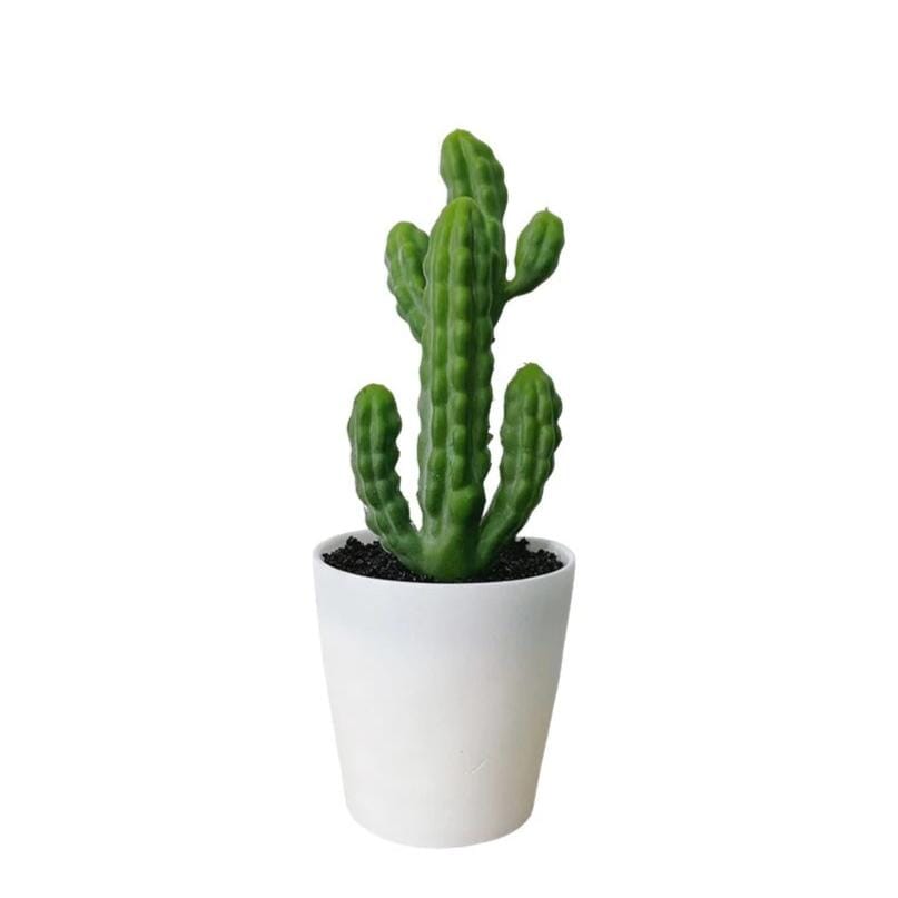 Mini Cactus Artificiel Deco