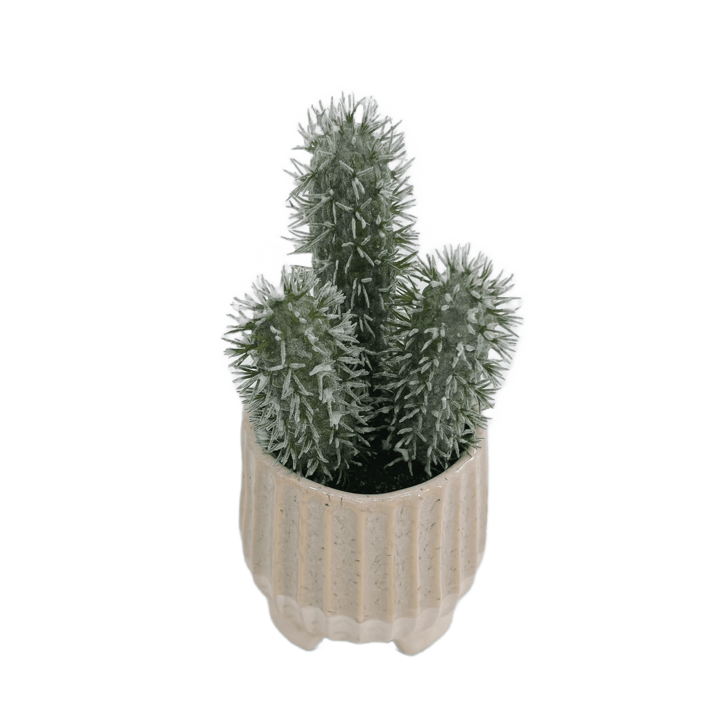 Mini Cactus Artificiel en Pot