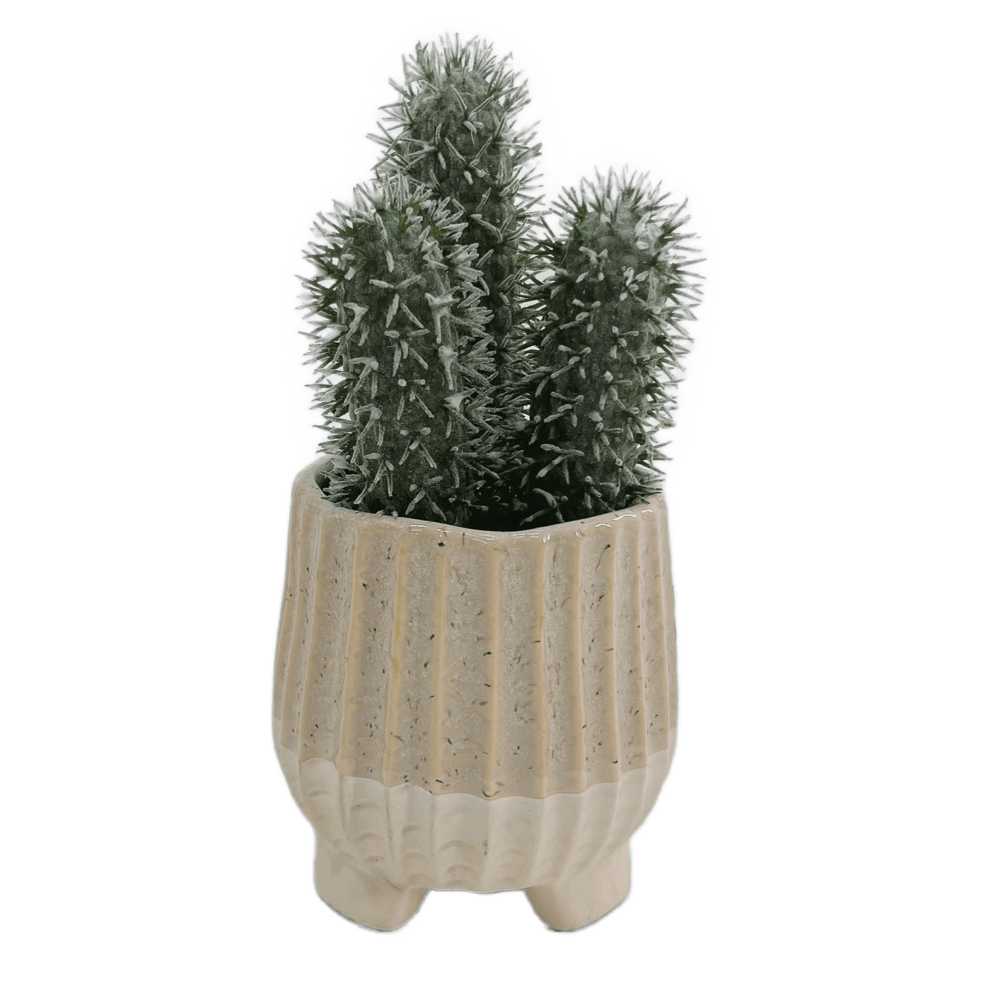 Mini Cactus Artificiel en Pot