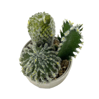 Mini Cactus Artificiel Réaliste - 19,5 cm