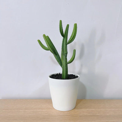 Mini Faux Cactus - 19 cm