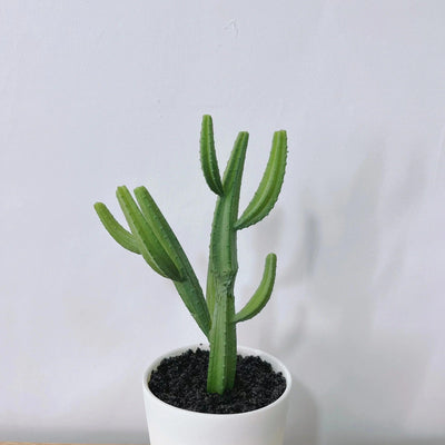 Mini Faux Cactus - 19 cm