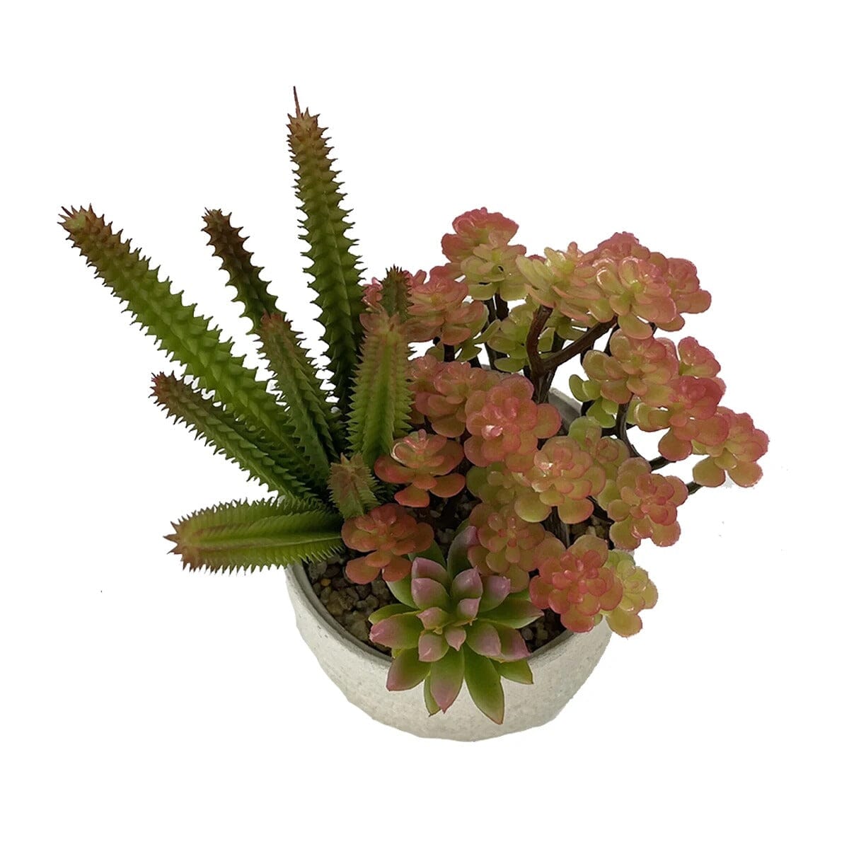 Mini Plante Succulente Artificielle et Cactus - 18,5 cm