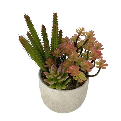 Mini Plante Succulente Artificielle et Cactus - 18,5 cm