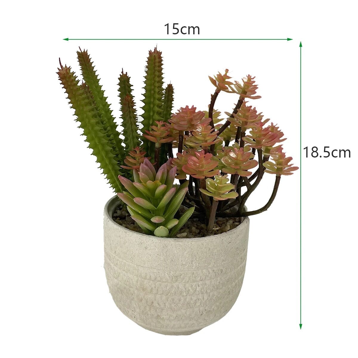 Mini Plante Succulente Artificielle et Cactus - 18,5 cm