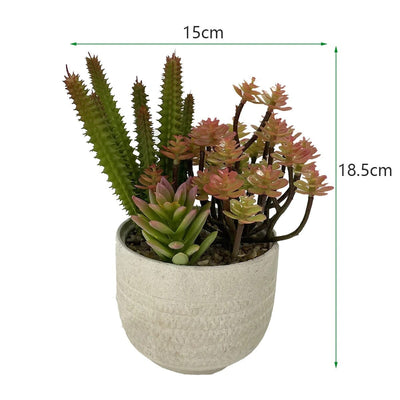 Mini Plante Succulente Artificielle et Cactus - 18,5 cm