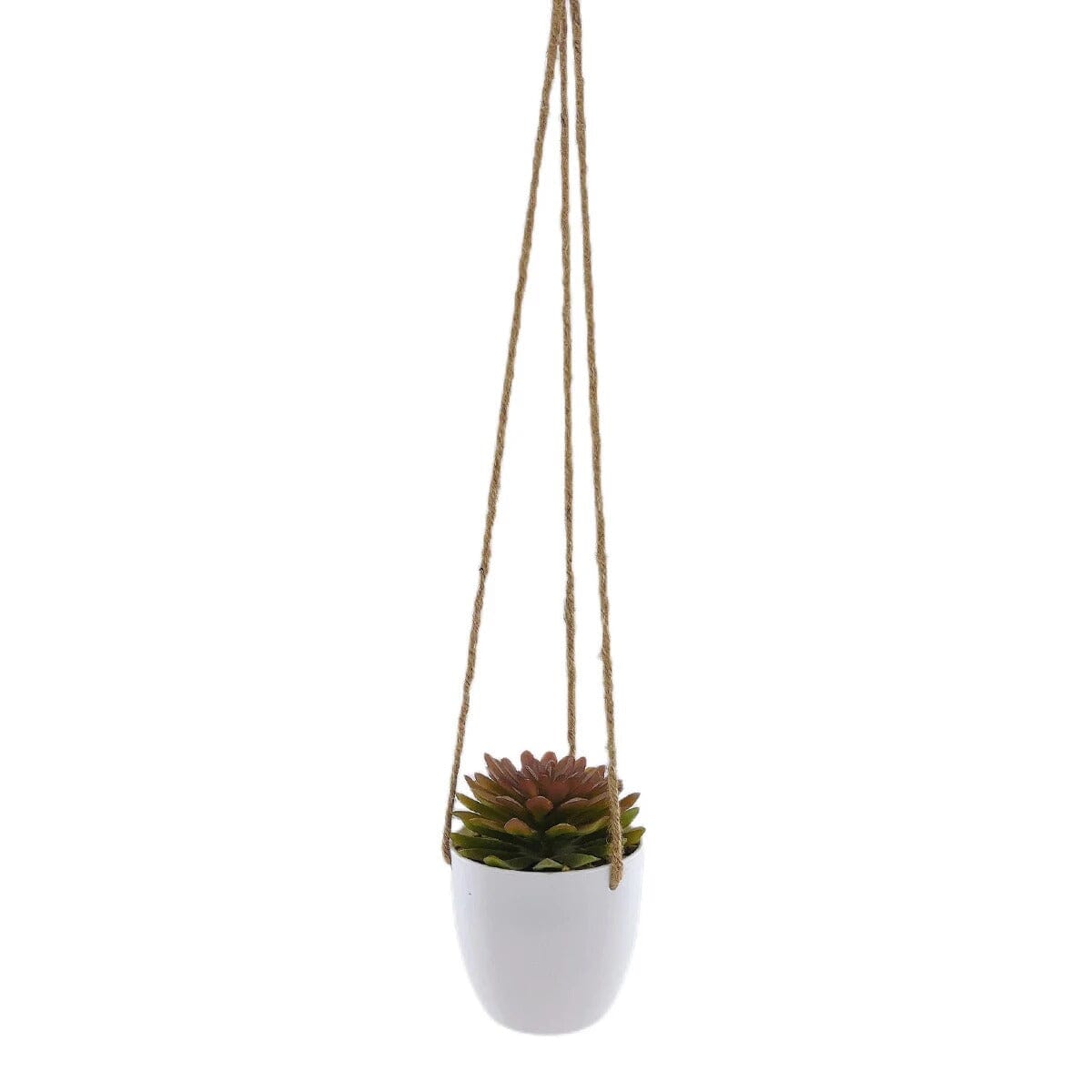 Mini Plante Succulente Suspendue Artificielle